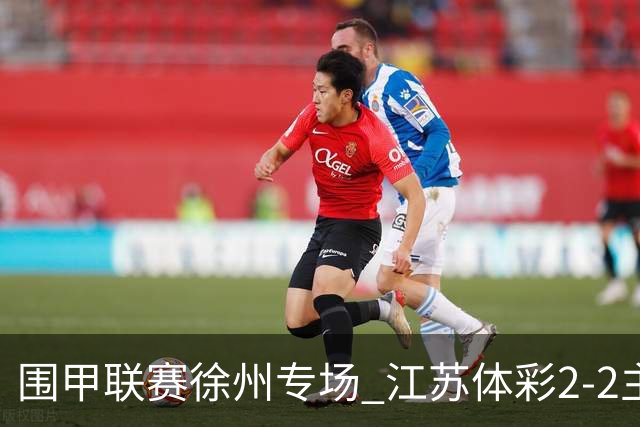 围甲联赛徐州专场 江苏体彩2-2主将负重庆坎济